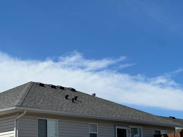 Best Roof Coating and Sealing  in Ashland, KY